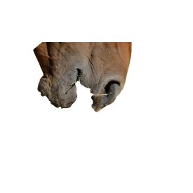 Aprított széna 20 kg