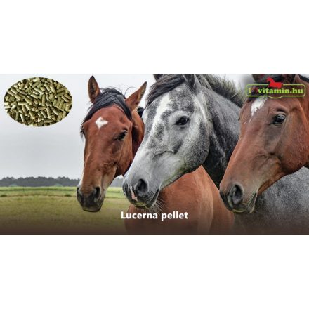 Lucerna pellet 25 kg