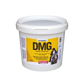   DMG – Dimetilglicin por állatgyógyászati gyógyhatású termék 250 gramm