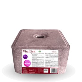 Vita Lick 8kg – Vitaminos nyalósó lovaknak