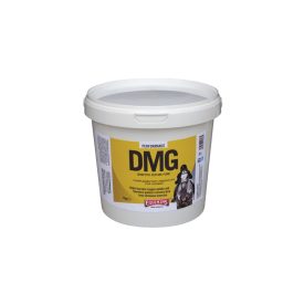   DMG – Dimetilglicin por állatgyógyászati gyógyhatású termék 1 kg
