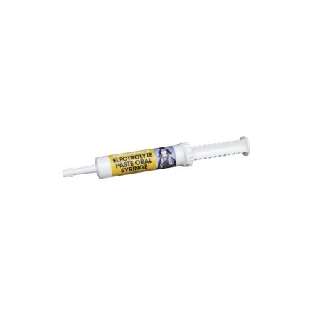 Electrolyte Paste – Elektrolit paszta 30 ml