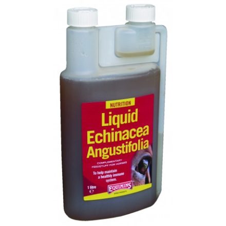 Echinacea Herb Liquid – Kasvirág immunerősítő oldat 1 liter